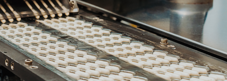 대웅바이오의 조직 구조