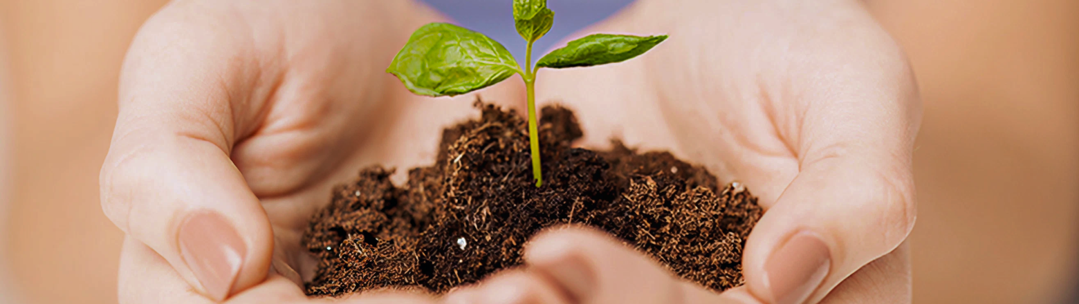 사회적 공헌과 책임